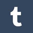 The essence of a tumblr fan.
