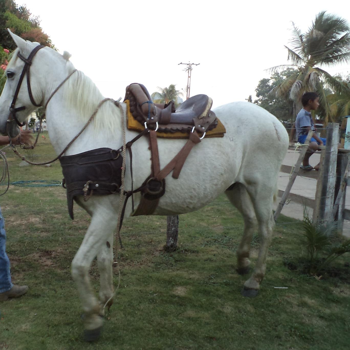 nadimoreno's profile picture. super estudiosa....