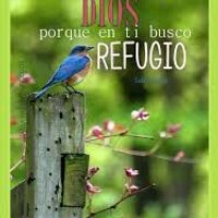 luis diaz (@diazluidavid) 's Twitter Profile Photo
