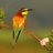 SerenaAventura's profile image
