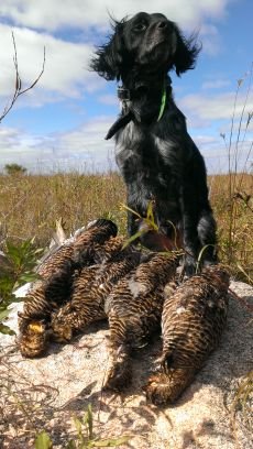 Born to hunt