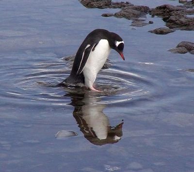 LPSCcoach's profile picture. 