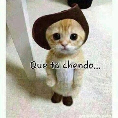 777luisfran777's profile picture. 