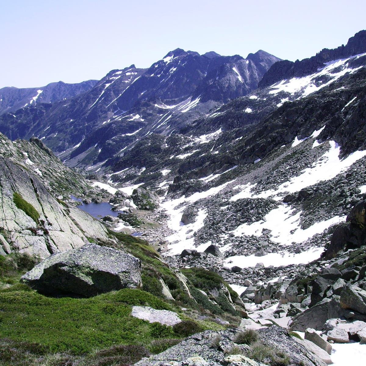 Arxivera
