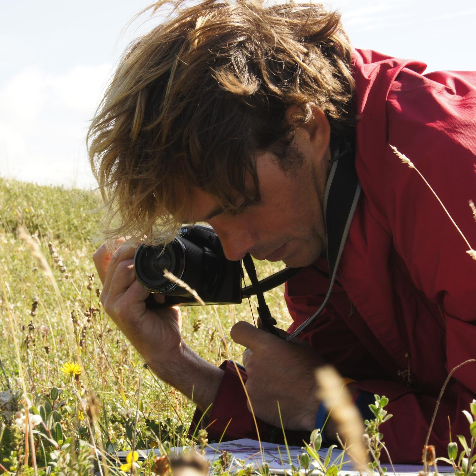 Managing the family farm to benefit wildlife.  70 acres of new woodland and wildflower habitat created- 'Forest of Flowers'.  Gardener, Bee-keeper, Goat-Keeper.
