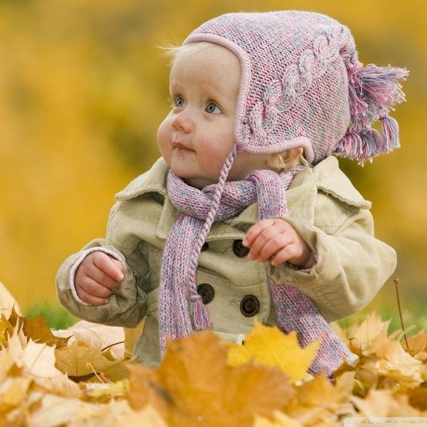 AlaaAlbar's profile picture. 