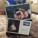 Jenny Floyd - @JFloyd88 - Twitter