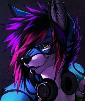 Hey there! My name is Foxraver I'm bi and I'm Emo hopefully I don't get hate... but I do rp! i make some dubstep sister @stonerwolfdream