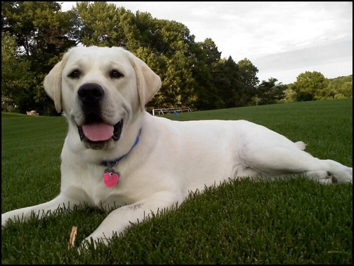 lmstapleton's profile picture. 