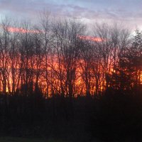 Chuck Khoury (@bklynchuck) 's Twitter Profile