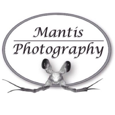 Mantis Photography