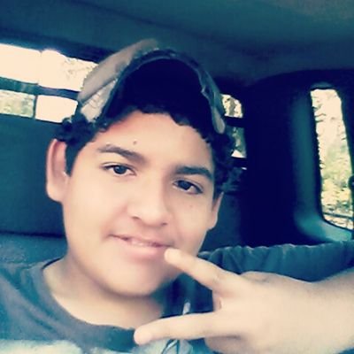 meu whats (65)96702740 me coloca em grupos. sigo de volta quando eu  puder