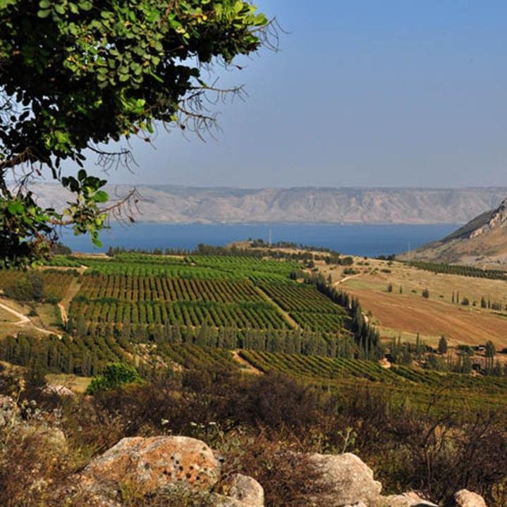 ayavineyards's profile picture. We are a group of students with a passion for cultivating the land. We are trying to start a vineyard, but need your help! help us raise funds with @indiegogo!