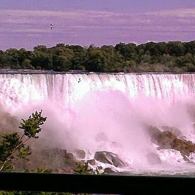 CappabiancaLisa's profile picture. 