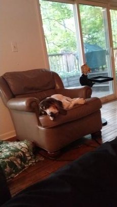 rump1954's profile picture. 