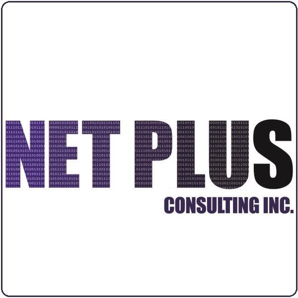 NetPConsulting's profile picture. Visit our website or call us on (212) 461-3300