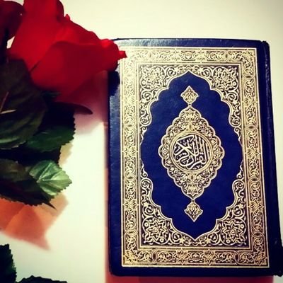‏° لا اله الا الله سبحانك اني كنت من الظالمين °