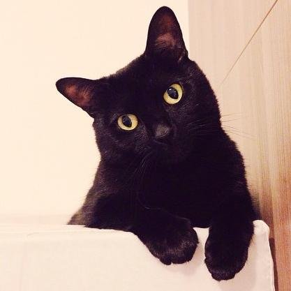 Qflow7's profile picture. :)