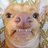 19sbai's profile image
