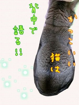 なりきりさんとbotと話すアカ。主にK、HQ、喰種、デュラ (バリバリ腐ってます)