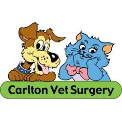 carlton_vet's profile picture. Carlton Veterinary Surgery provide compassionate care and professional advice to local pet owners.