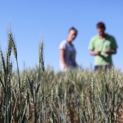 allthe_way's profile picture. 