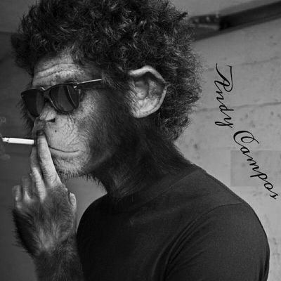 Andy_CamposP's profile picture. Una vez me dijeron que no podía.  Acá Hay de todo como ositos y gatitos. El lado oscuro de la internet. ¡Ven y siéntate comodo!