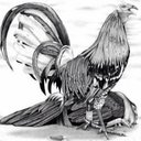 Alejandro (@1974alex1) Twitter