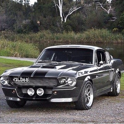 fahed_mr's profile picture. 