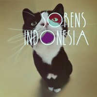 SorensIndonesia (@sorensindonesia) 's Twitter Profile Photo SorensIndonesia (@sorensindonesia) 's Twitter Profile Photo