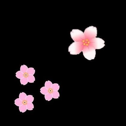 闇桜さんのプロフィール画像