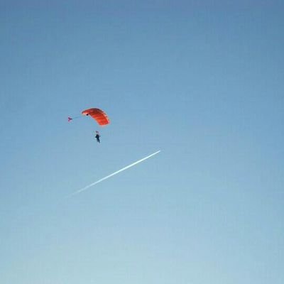 DmeisterC's profile picture. 