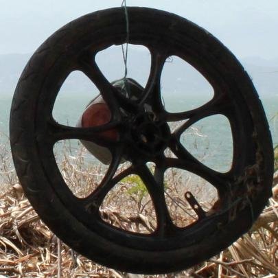 fenceuponatime's profile picture. Whee!