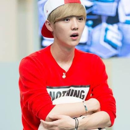 Oh Sehun saranghae
