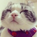 Glenn Li - @WooGlenn - Twitter