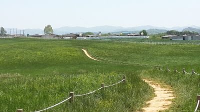 modesty1225's profile picture. 전원주택. 1024.11월 11일. 베이글.파인애플.진돗개,크리스마스 푸름,정직,거룩,열매나눔,잠깐 쉬었다가...효도,제주도,하고 싶은 일,diy,나무 냄새