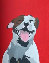 A sharing site for lovers of Staffies (and dogs generally). Tag us in your pics and we will retweet. We are the official Twitter page of Radcliffe Stafficlub.