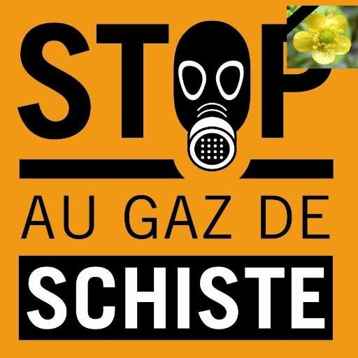Site d'information sur la question de l’exploration et de l’exploitation des gaz et pétrole de schiste
#gazdeschiste #fracking