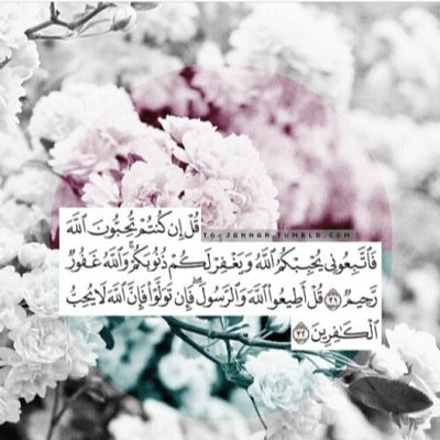 الفقي امها