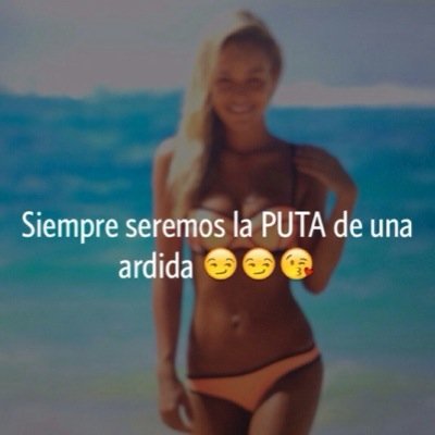 Pussywagon6's profile picture. Trollear no es nada facil, porque hasta para trollear hay niveles :)