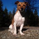 Dominik Kramer - @laladuck85 - Twitter