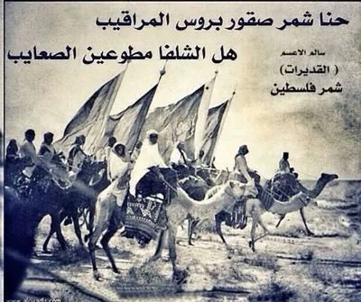 KlashAbo's profile picture. 