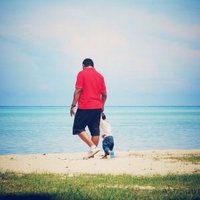 Adi JKamal (@cheadijk) 's Twitter Profile