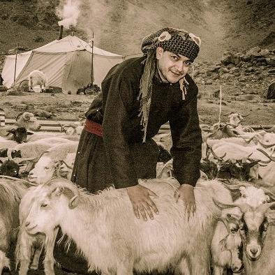 Pashmina Artist. Activist. Shepherd in Himalayas | Author | Speaker | 6 Times TEDx | TED Residency Finalist NY | WIRED Fellow | REX Global Fellow