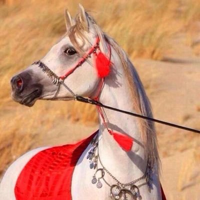 ‏الشيءالوحيد الذيَ يجعلُنا أقوى كُلمَا أنكسرنا هوِ اليقين التام بأنَّ الأمر كُله بيد الله وأن الحيَاة ستمضي مَهما حَدث .O:)