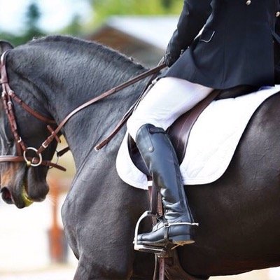 Journaliste #cheval #cso #jumping #dressage #reining #SalonDuCheval #EquitaLyon #longinesjumping #SautHermes #FEIWorldCup #LGCT #jumpbdx