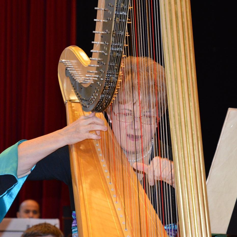 Harpist soloist / 1. Prizes Israel and Paris Intern. Competitions; 2. prize Geneva Competition / Professor harp/chamber music in Lausanne/ Barcelona/ Hamburg.
