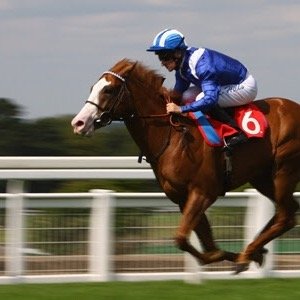 Horse racing tips and bets. Follow and hopefully enjoy the winners.