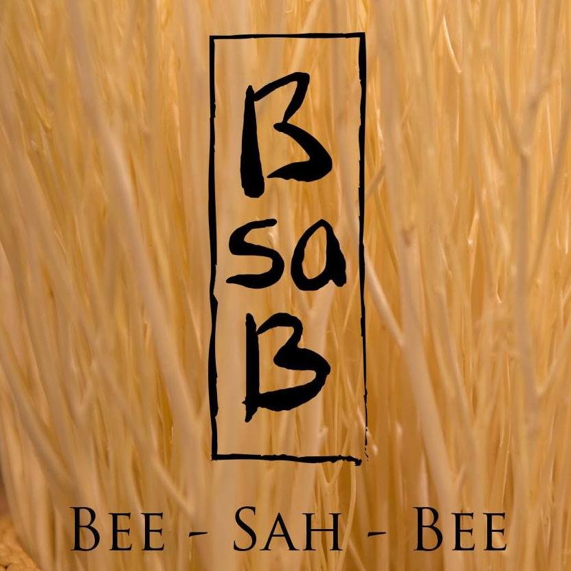 BsaB Nederland Profile