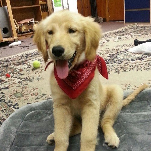 zacksiga's profile picture. 